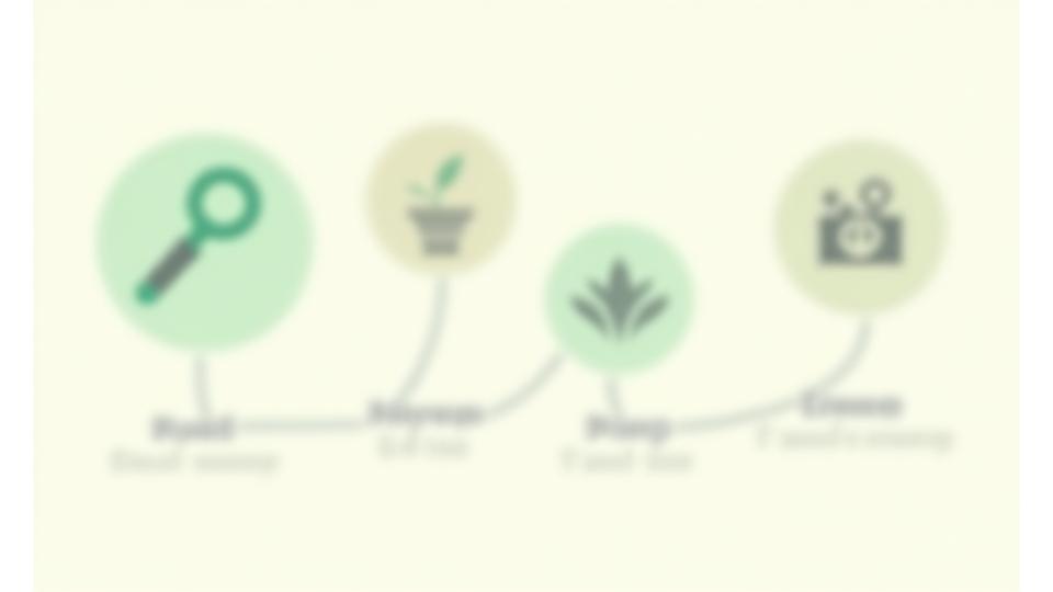 Infographic showing the four-step process of ElysiumFlorique Pulse's lifestyle upgrade methodology